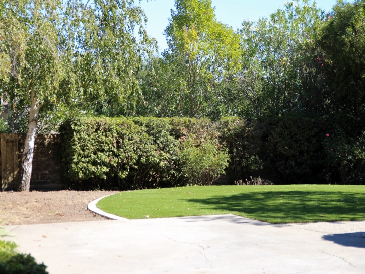 Artificial Grass Carpet Enoch, Utah Landscaping, Small Backyard Ideas