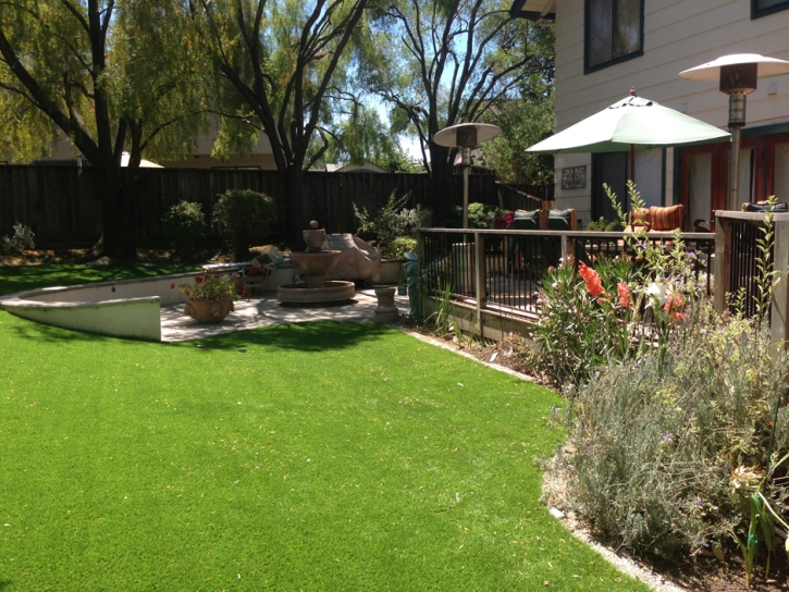 Artificial Grass Carpet Escalante, Utah Backyard Deck Ideas, Backyard Ideas