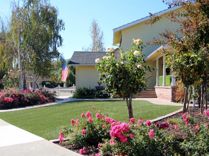 Artificial Grass Carpet Fruit Heights, Utah Landscape Rock, Small Front Yard Landscaping