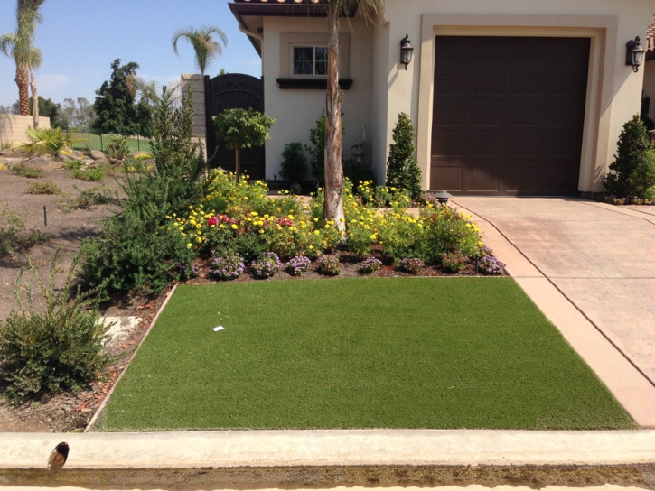 Artificial Grass Carpet Pine Valley, Utah Garden Ideas, Front Yard