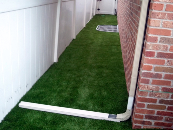 Artificial Grass Carpet South Willard, Utah Lawns, Backyard Makeover