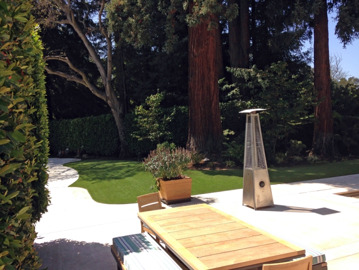 Artificial Grass Centerfield, Utah Backyard Deck Ideas, Backyard Ideas