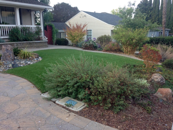 Artificial Grass Fayette, Utah Roof Top, Front Yard Design