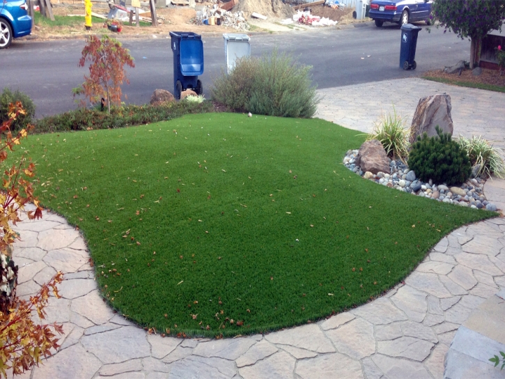 Artificial Grass Manila, Utah Design Ideas