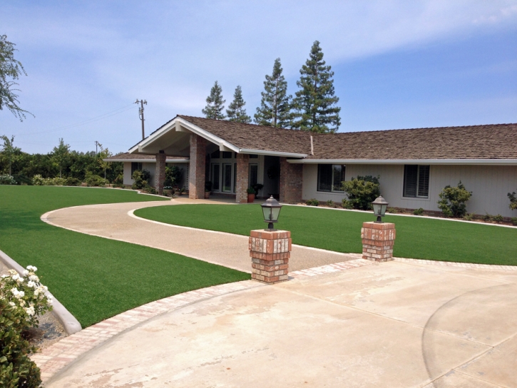 Artificial Grass Midway, Utah Garden Ideas, Front Yard Design