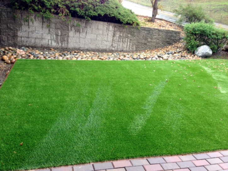 Artificial Grass Peter, Utah Lawns, Front Yard Design