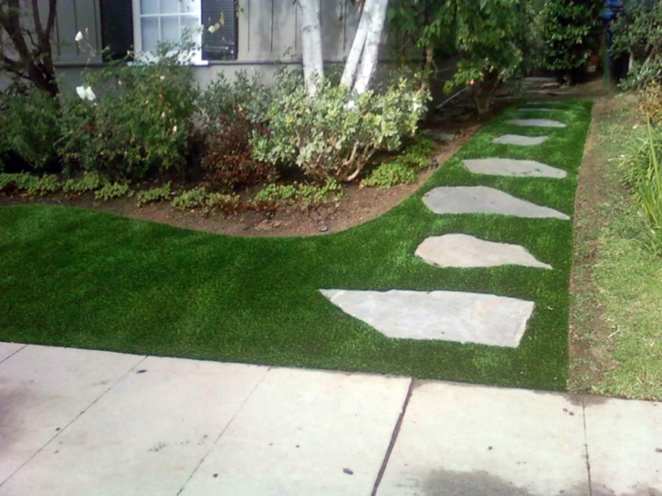 Artificial Grass Timber Lakes, Utah Lawn And Landscape, Front Yard Ideas