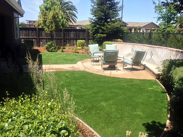 Artificial Grass Tropic, Utah Landscape Ideas, Small Backyard Ideas