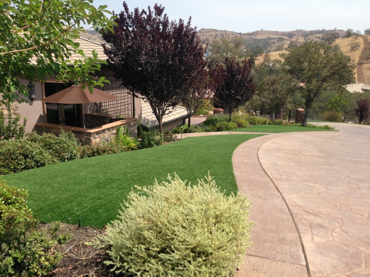 Artificial Lawn Dammeron Valley, Utah Lawn And Garden, Front Yard Design