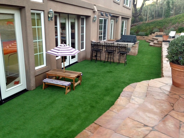 Artificial Lawn Ivins, Utah Roof Top, Backyard Landscaping Ideas