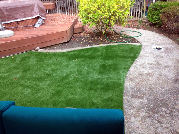 Artificial Lawn Junction, Utah Design Ideas, Backyard Landscaping Ideas