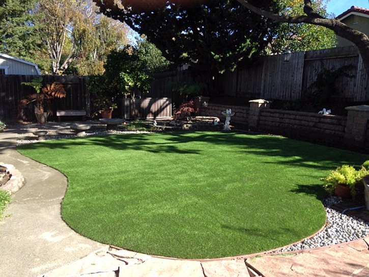 Artificial Lawn Santa Clara, Utah Landscape Ideas, Backyard Designs