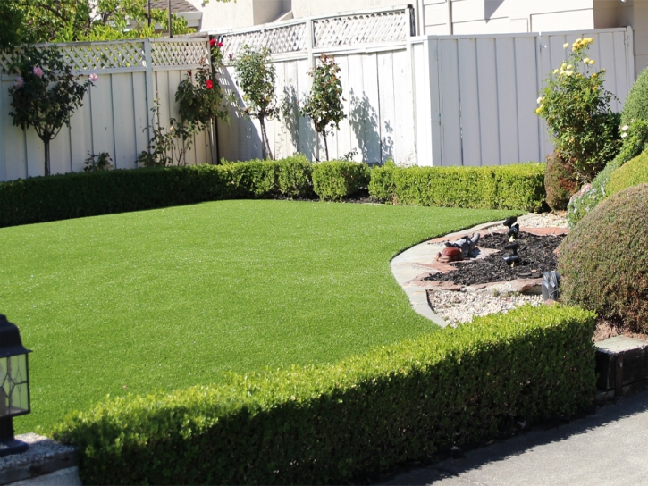 Artificial Turf Cost Gunnison, Utah Landscape Ideas, Backyard Design