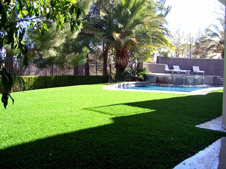 Artificial Turf Cost Marysvale, Utah Landscape Design, Swimming Pool Designs