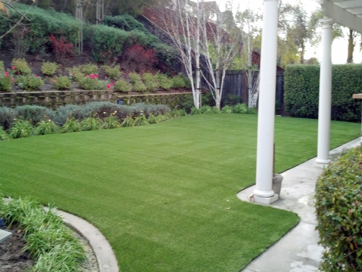 Artificial Turf Cost Newcastle, Utah Indoor Dog Park, Backyard Design