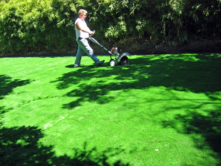 Artificial Turf Cost West Mountain, Utah Gardeners, Backyard