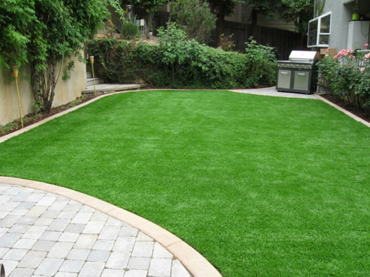 Artificial Turf Deweyville, Utah Backyard Playground