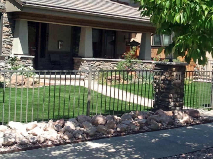 Artificial Turf Elsinore, Utah Landscape Photos, Front Yard Landscape Ideas