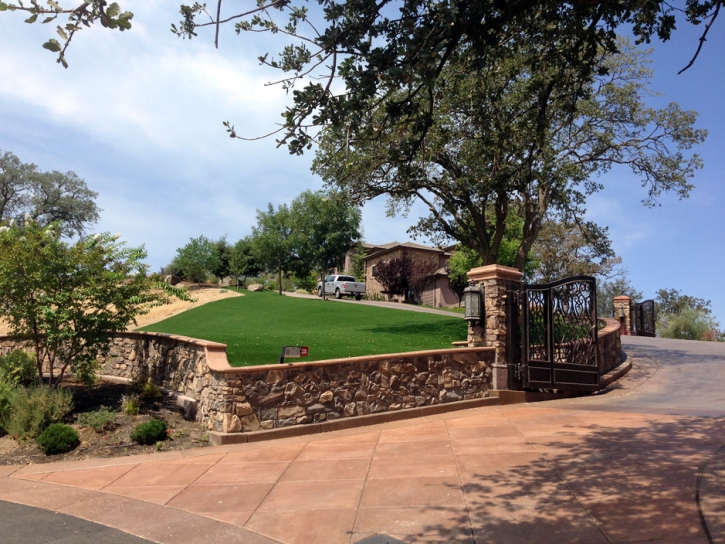 Artificial Turf Granite, Utah Garden Ideas, Front Yard Landscape Ideas