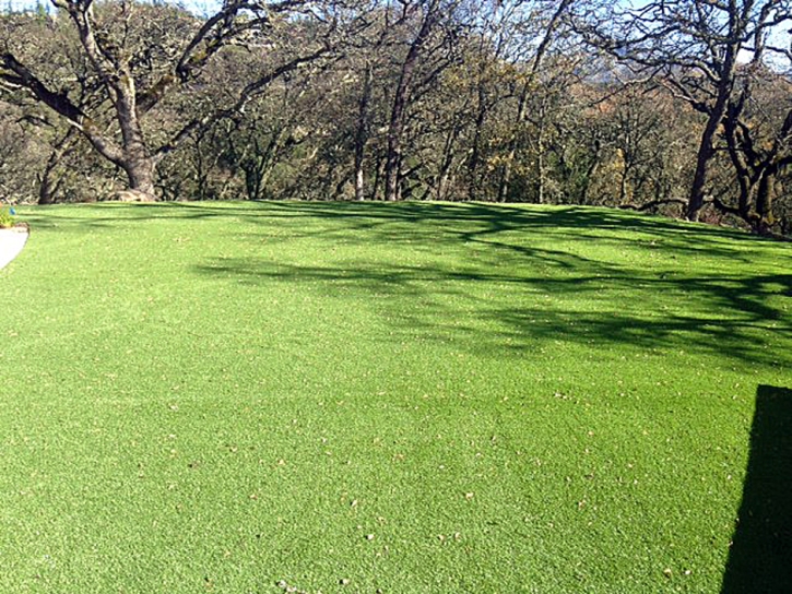 Artificial Turf Installation Mount Olympus, Utah City Landscape, Parks