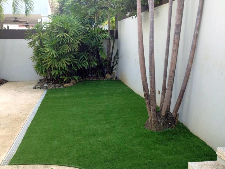 Artificial Turf Installation Nephi, Utah Landscaping, Backyard Landscaping