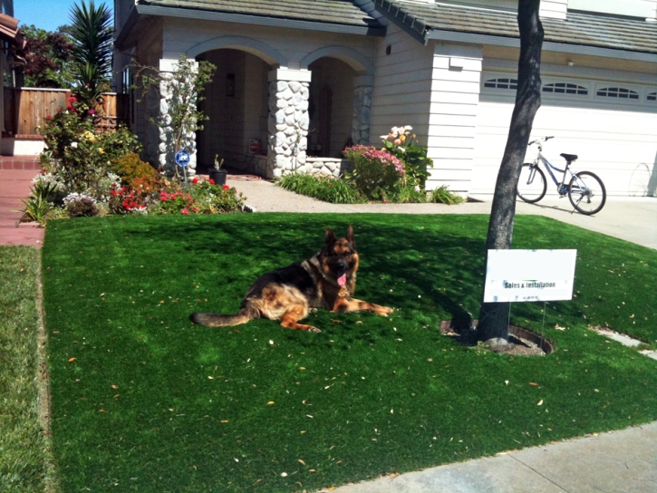 Artificial Turf South Ogden, Utah Drainage, Front Yard Landscape Ideas