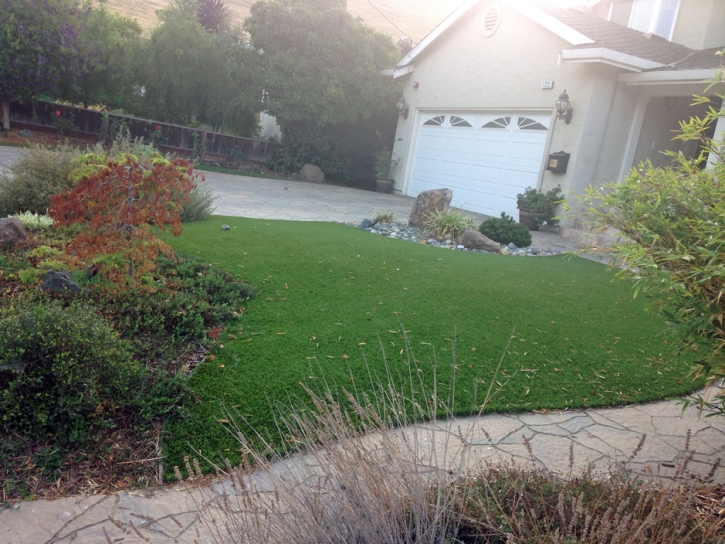 Best Artificial Grass Alta, Utah Rooftop, Front Yard Ideas