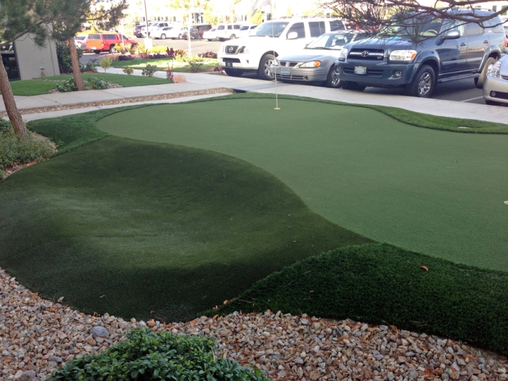 Best Artificial Grass Dammeron Valley, Utah Indoor Putting Green, Commercial Landscape