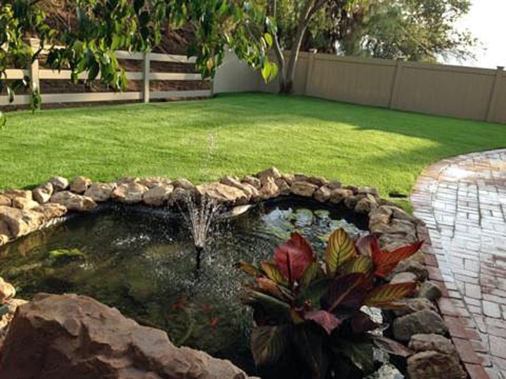 Best Artificial Grass Hatch, Utah Design Ideas, Backyard Garden Ideas