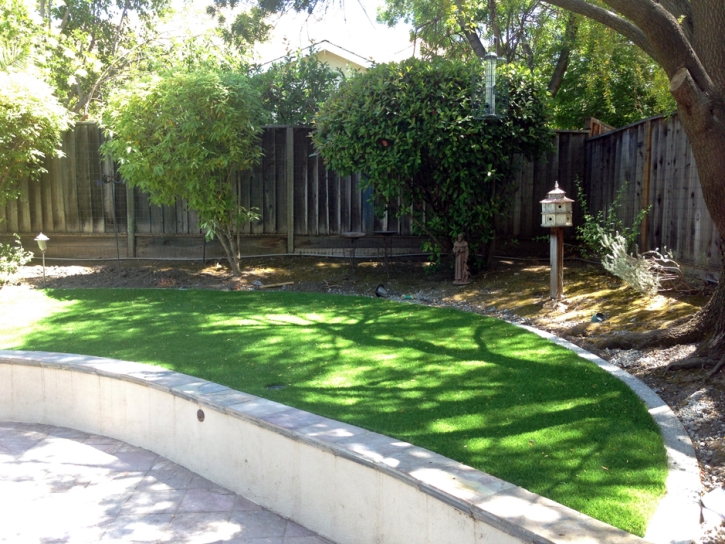 Best Artificial Grass Minersville, Utah Lawn And Garden, Commercial Landscape