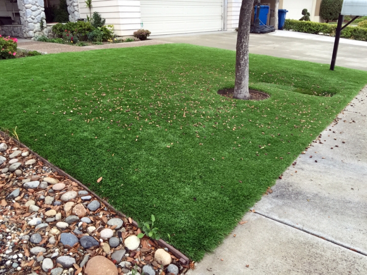 Best Artificial Grass Provo, Utah Landscape Ideas, Front Yard Landscape Ideas