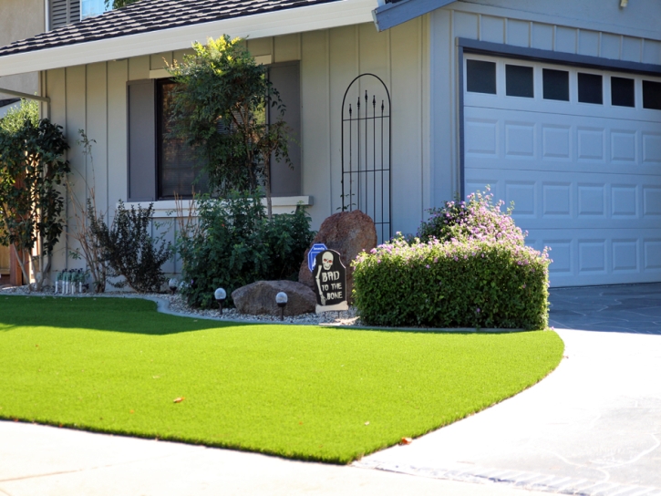 Best Artificial Grass Stansbury park, Utah Garden Ideas, Small Front Yard Landscaping