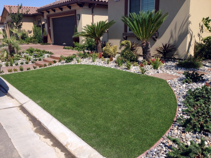 Best Artificial Grass Uintah, Utah Design Ideas, Front Yard Landscape Ideas