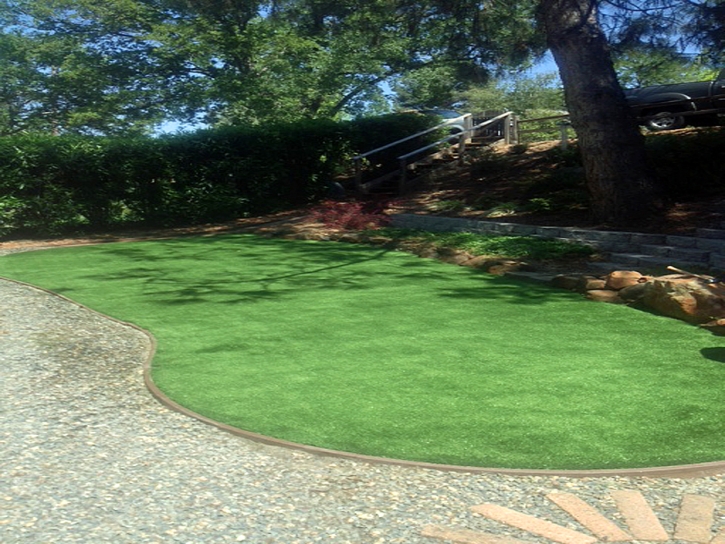 Fake Grass Amalga, Utah Landscaping Business, Backyard Garden Ideas