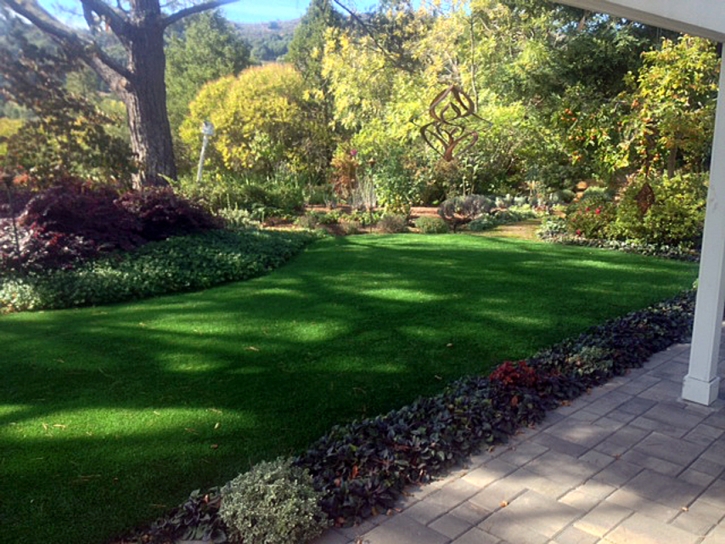 Fake Grass Carpet Garden City, Utah Paver Patio, Backyard Designs