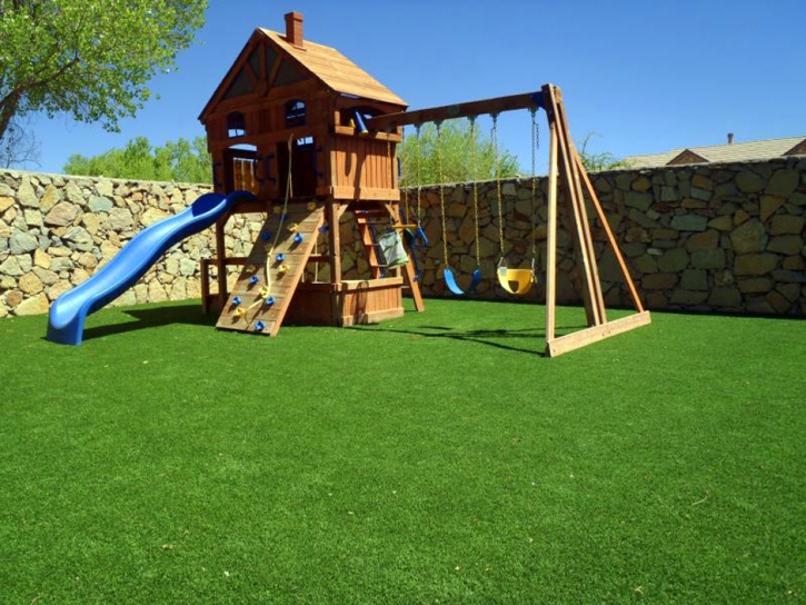 Fake Grass Carpet Independence, Utah Backyard Playground, Backyards