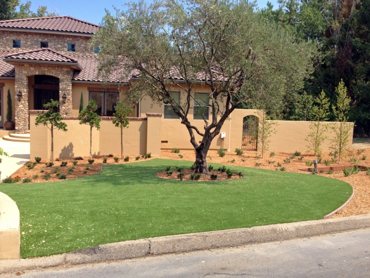 Fake Grass Carpet Liberty, Utah Gardeners, Front Yard Design