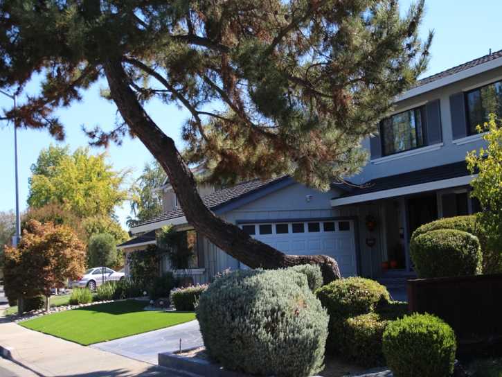 Fake Grass Carpet North Salt Lake, Utah Landscaping, Front Yard Ideas