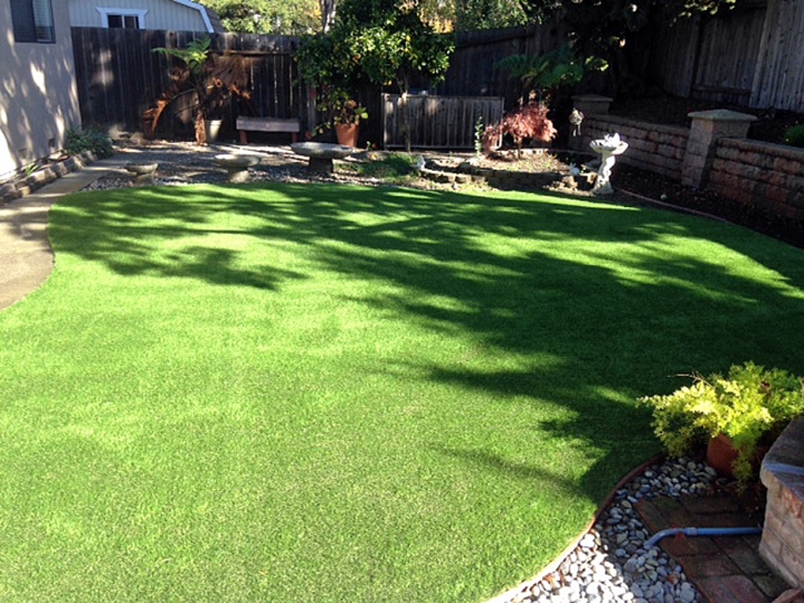 Fake Grass Carpet Snyderville, Utah Paver Patio, Backyard Landscaping