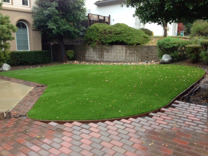 Fake Grass Carpet Whiterocks, Utah Gardeners, Front Yard Design