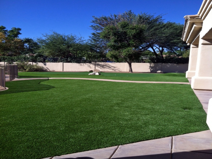 Fake Grass Mona, Utah Lawn And Landscape, Front Yard Landscaping