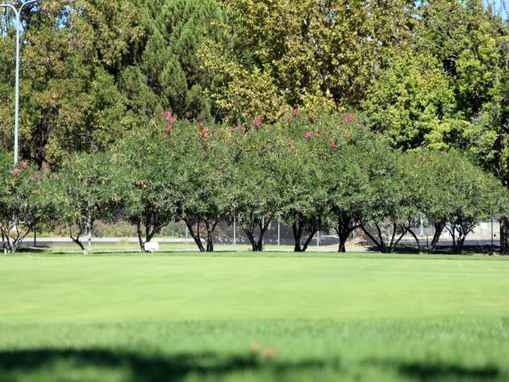 Fake Lawn Mount Olympus, Utah Golf Green