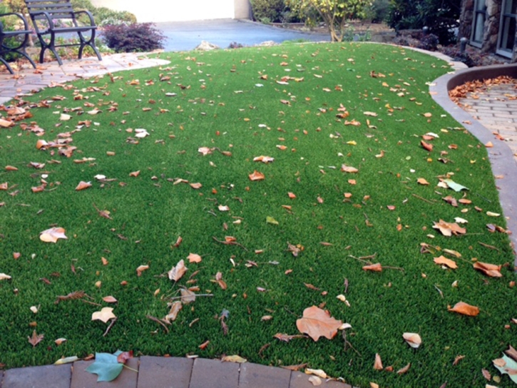 Fake Turf La Sal, Utah Landscape Rock, Front Yard Ideas