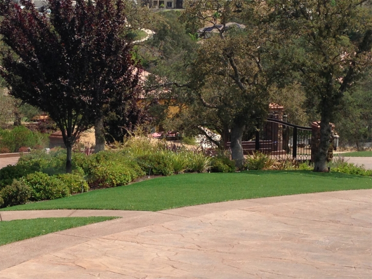 Fake Turf LaVerkin, Utah Landscape Rock, Backyard Landscaping