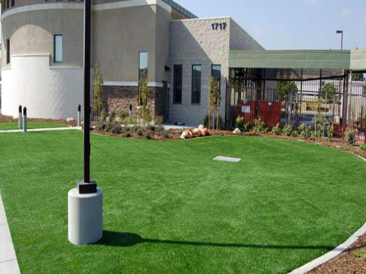 Fake Turf Smithfield, Utah Landscape Ideas, Commercial Landscape