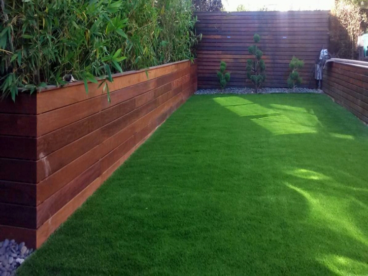 Faux Grass La Sal, Utah Rooftop, Backyard Landscaping Ideas