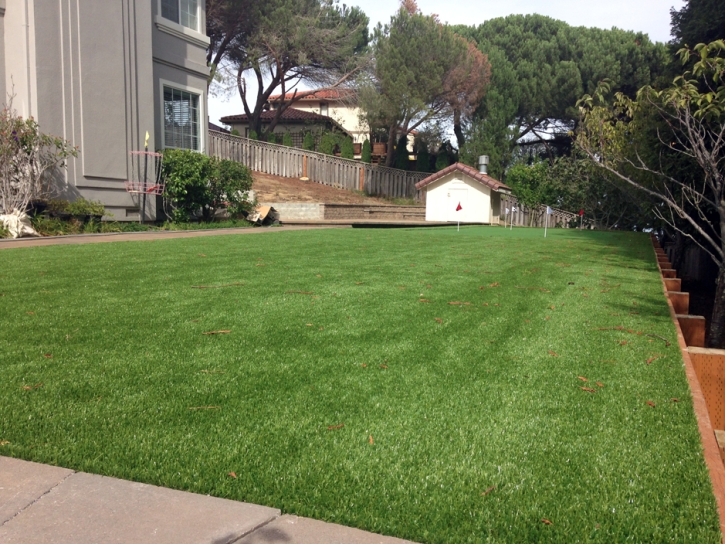 Faux Grass LaVerkin, Utah Outdoor Putting Green, Backyard Garden Ideas