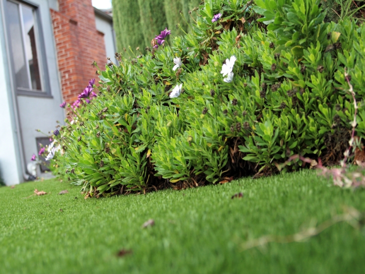 Faux Grass Woodruff, Utah Backyard Deck Ideas, Front Yard Landscaping Ideas