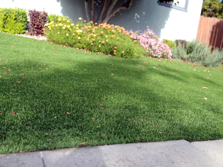 Grass Carpet Altamont, Utah Rooftop, Front Yard Landscape Ideas