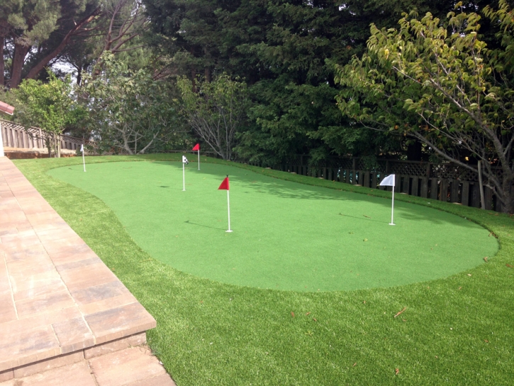 Grass Carpet Maeser, Utah Putting Green Grass, Backyard Garden Ideas